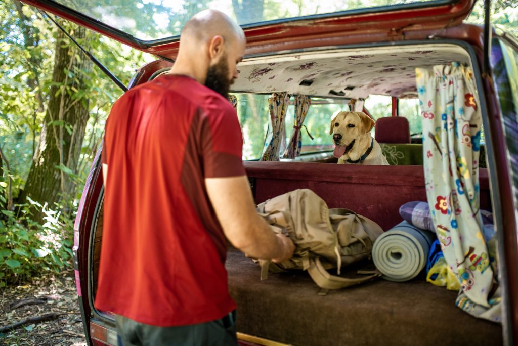 road trip με σκυλο