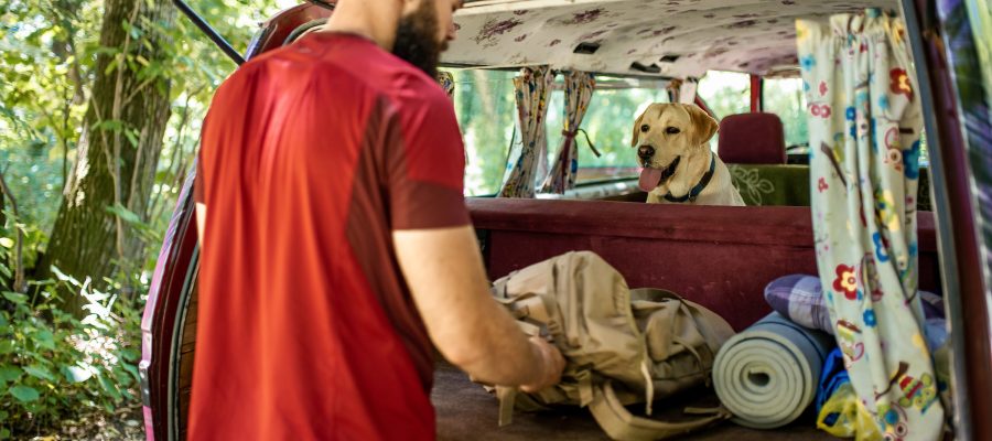 road trip με σκυλο
